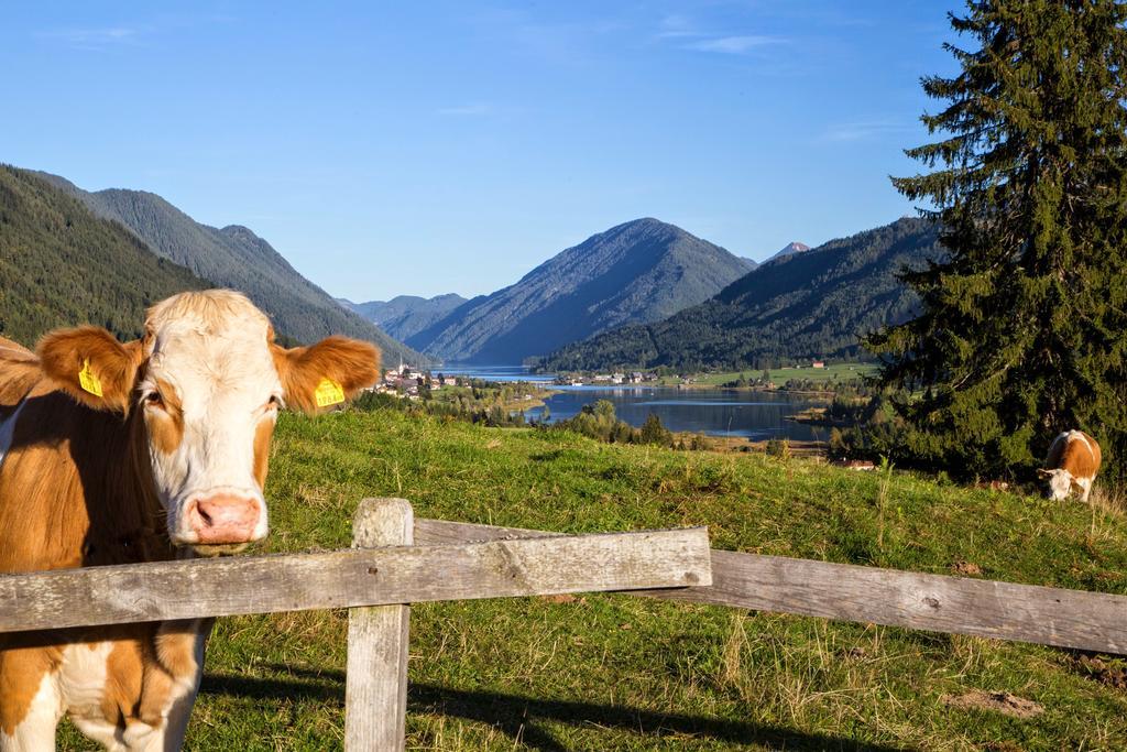 Haus Kalt Weissensee Exterior foto
